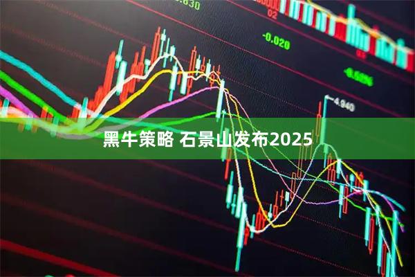 黑牛策略 石景山发布2025