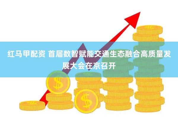 红马甲配资 首届数智赋能交通生态融合高质量发展大会在京召开